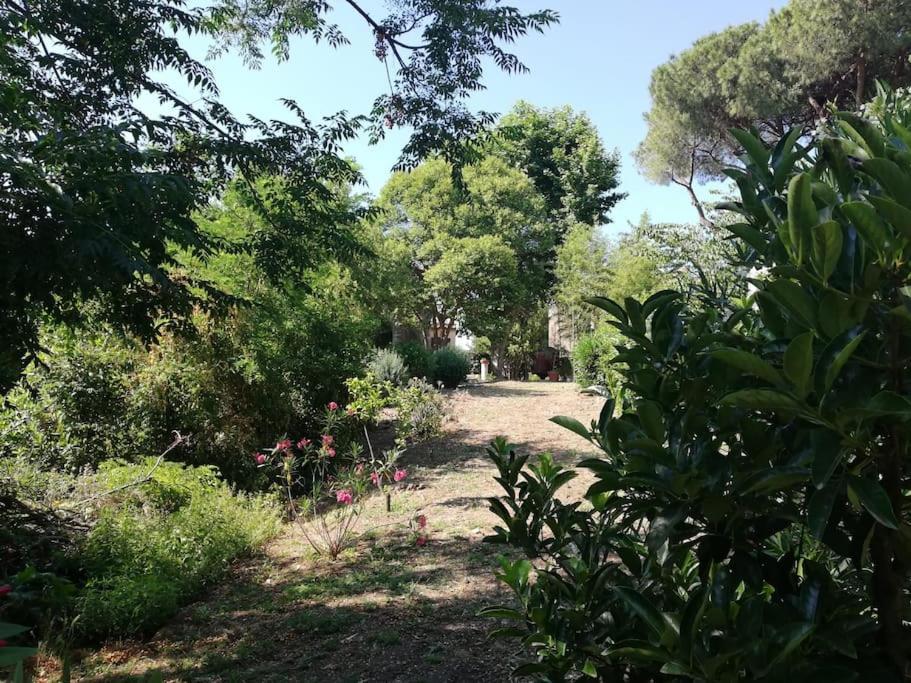 Appartamento Roma, Eksteriør bilde